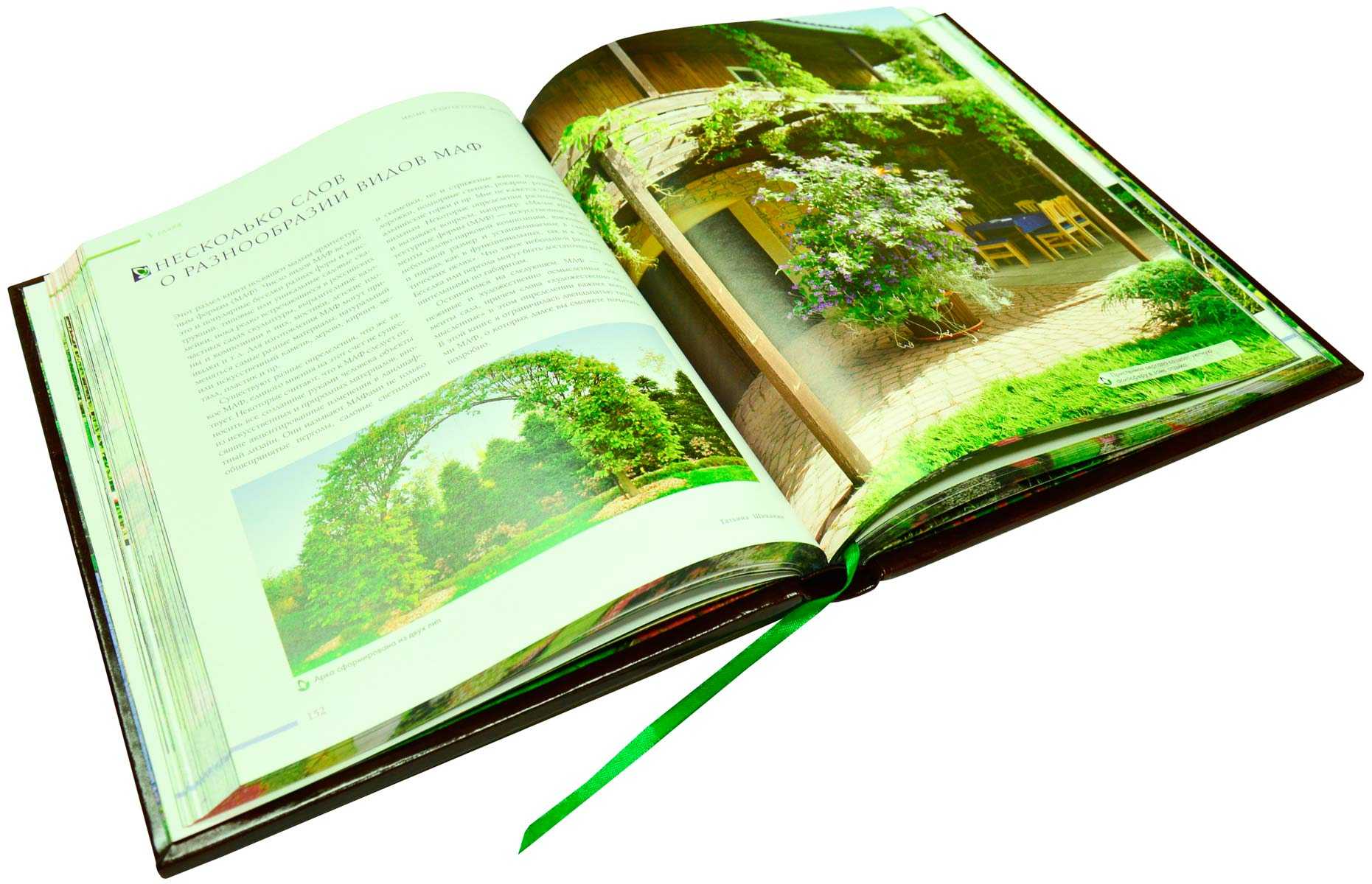 7 лучших книг по ландшафтному дизайну в 2024 году