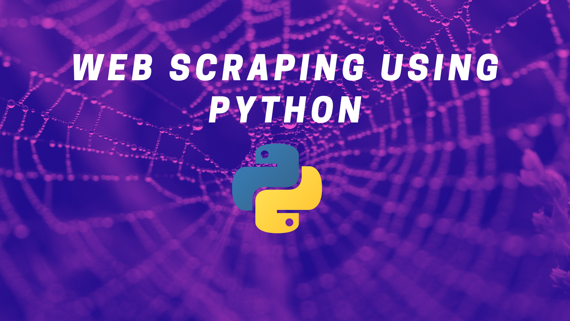 What is web scraping | scrapingbee