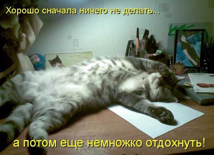 Что делать, если делать ничего не хочется? причины и лечение апатии - psychbook.ru