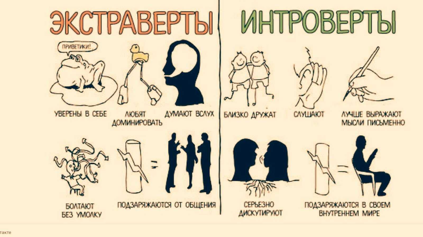 Профессии для интровертов ️ кем работать, список подходящих специальностей