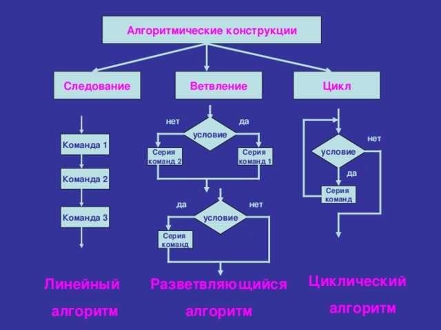 Отзывы сотрудников о компании алгоритмика