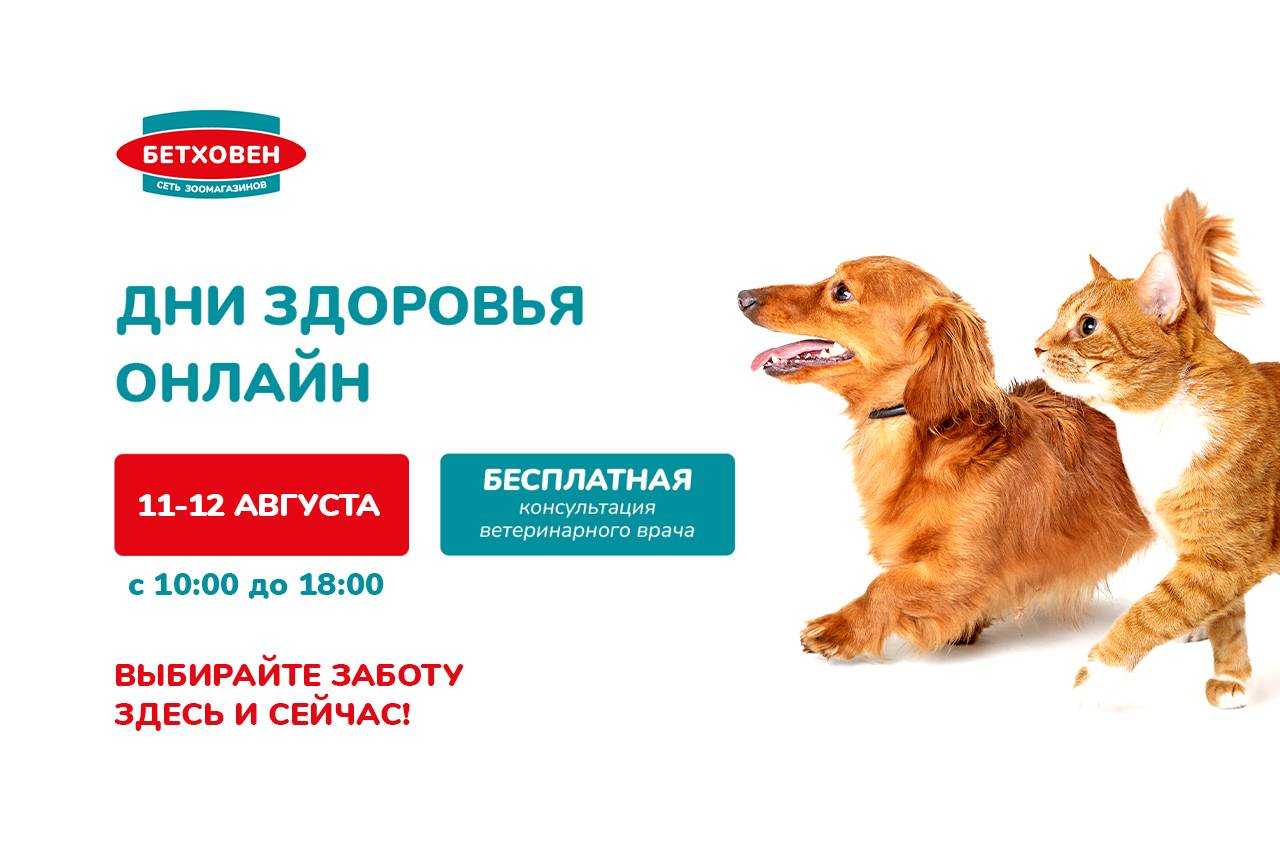 Франшиза зоомагазина и ветеринарной клиники: бетховен, четыре лапы, а также магазины товаров для животных