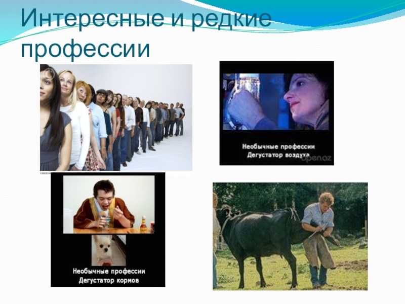 Какая самая интересная работа в мире