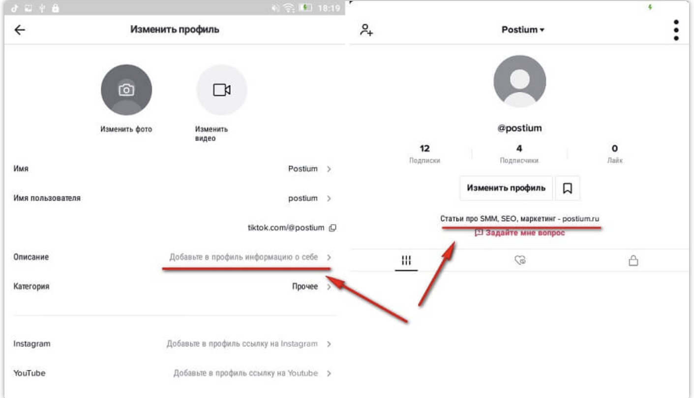 Примеры красивых и крутых описаний профиля для тиктока и какое добавить