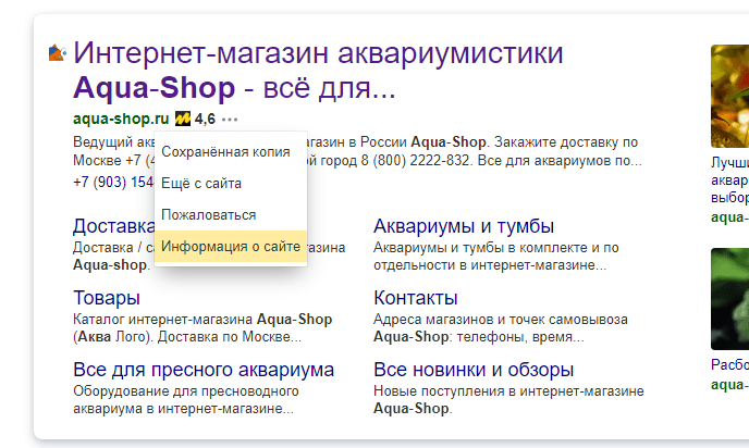 Яндекс ИКС индекс качества сайта
