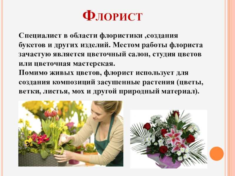 Думаем вы не раз сталкивались с результатами трудов специалистов о которых мы сегодня поговорим