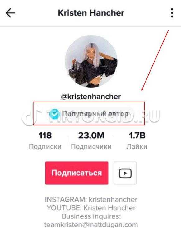 Как красиво оформить профиль в тик ток