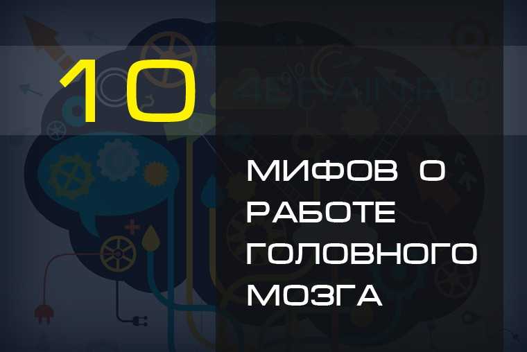 Мозг человека работает только на 10%: правда или все-таки миф? - блог викиум