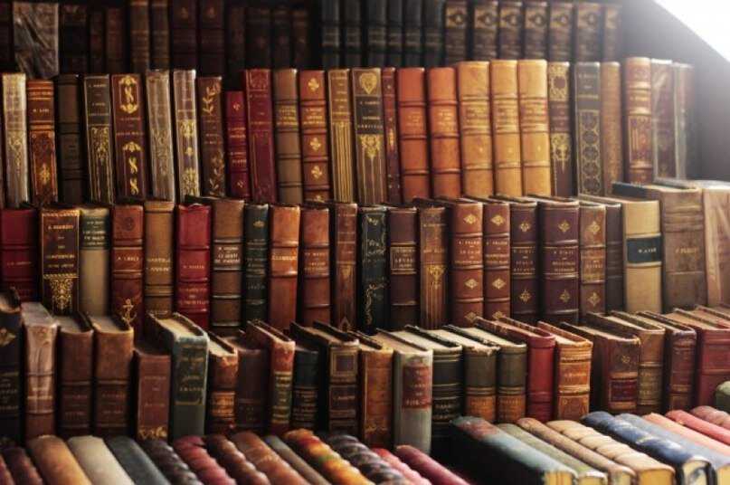 Рекомендованные книги и учебники по психологии от команды brainapps