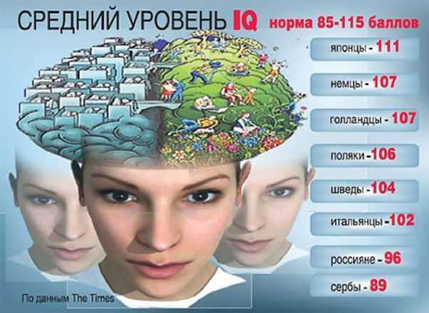 Что такое iq, как узнать уровень интеллекта человека?