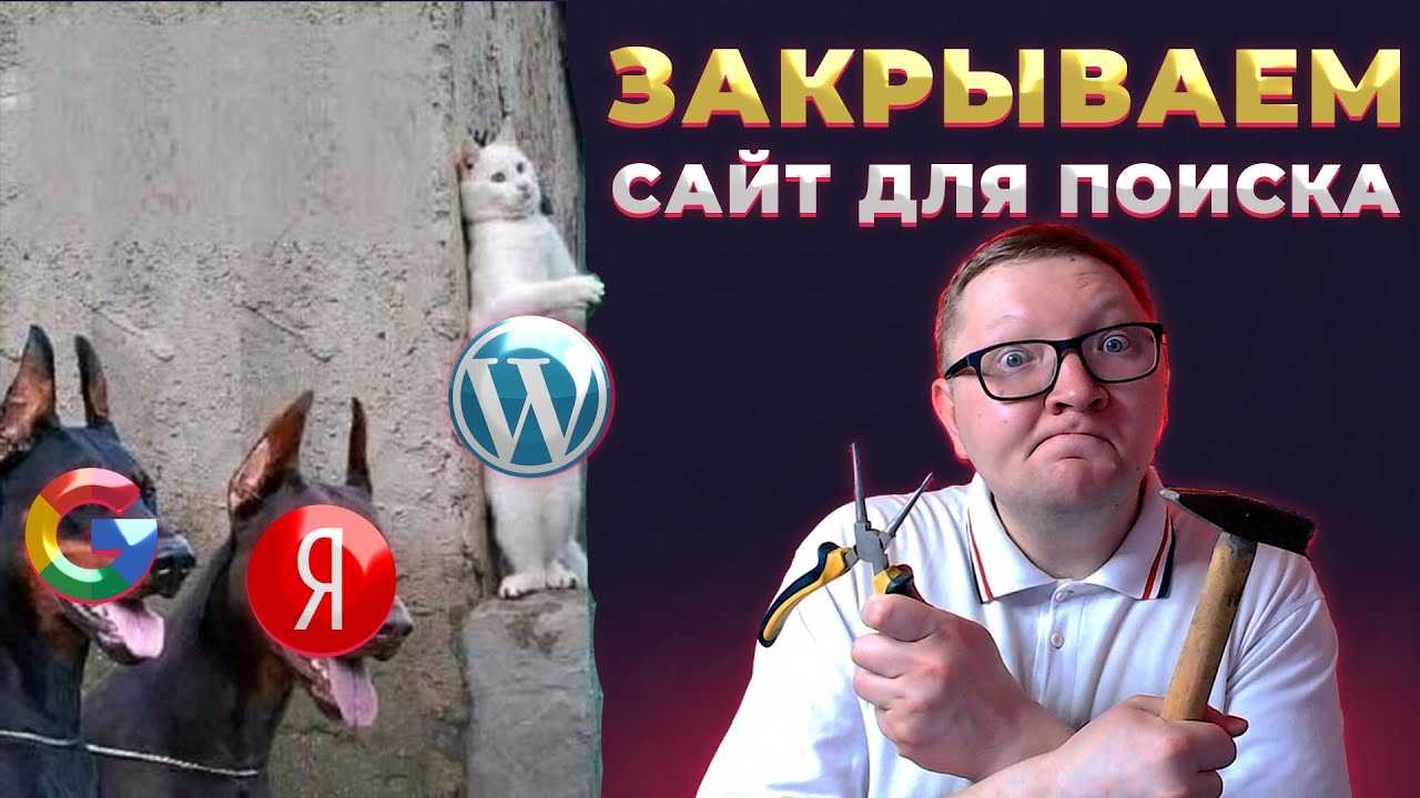 Правильный robots.txt: создание, настройка, директивы | naked seo