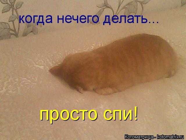 Что делать в офисе когда нет работы. что делать, когда нечего делать: идеи на все случаи жизни