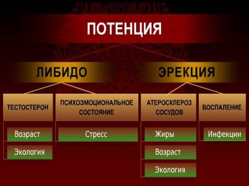 Что такое либидо?