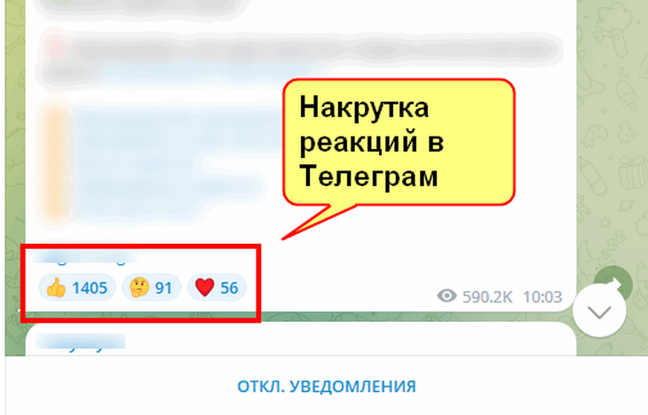 Обзор tmsmm с реальными отзывами пользователей