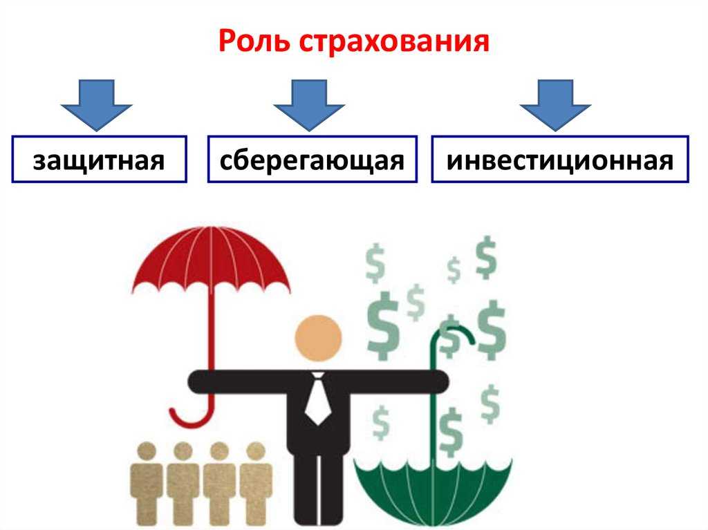 Страхования в россии: какие основные виды и формы полисов существуют