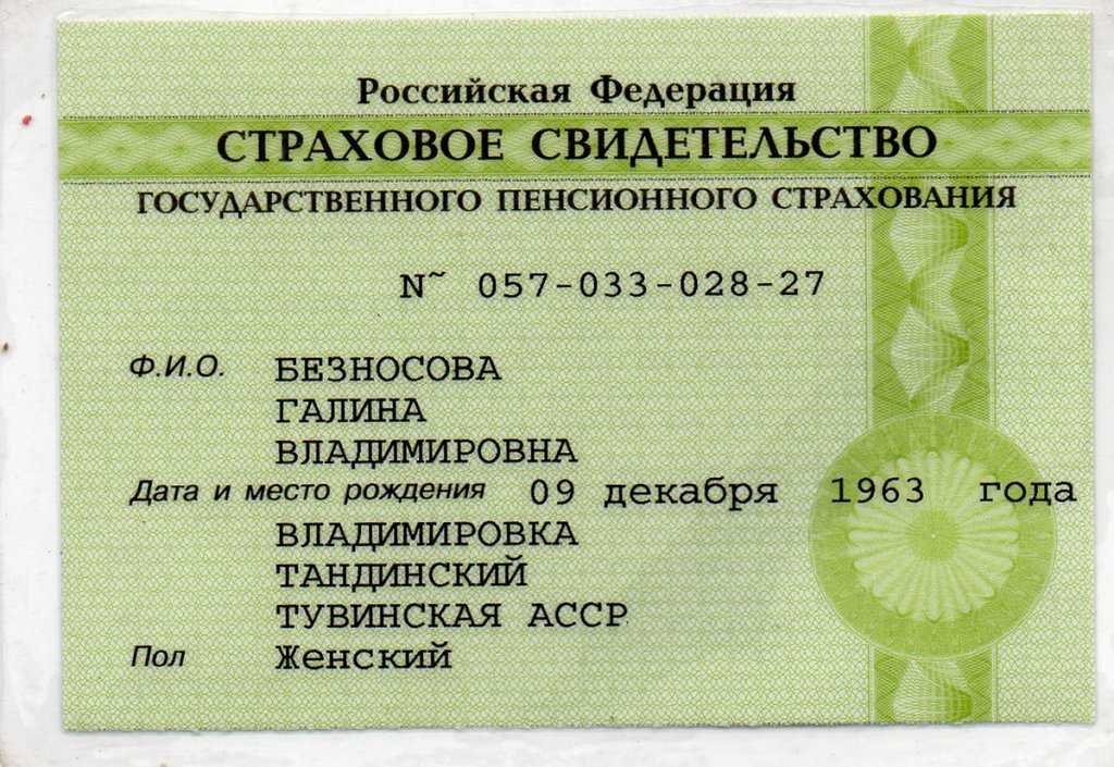 Что такое снилс? как расшифровывается снилс?