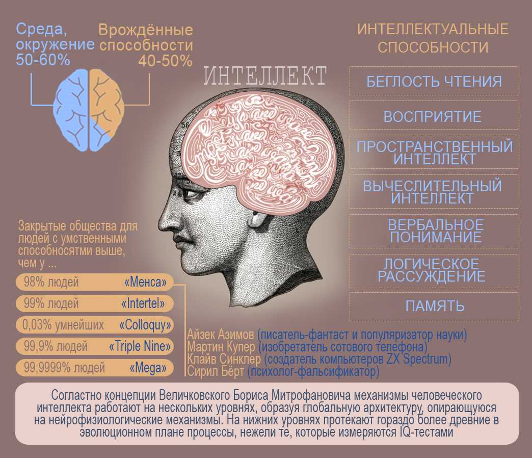 Что такое iq, и как этот показатель влияет на нашу жизнь? | informburo.kz