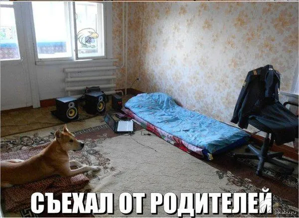 Как стать самостоятельным человеком и перестать зависеть от других