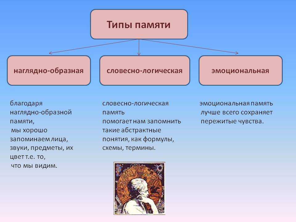 Основные процессы памяти и закономерности их протекания