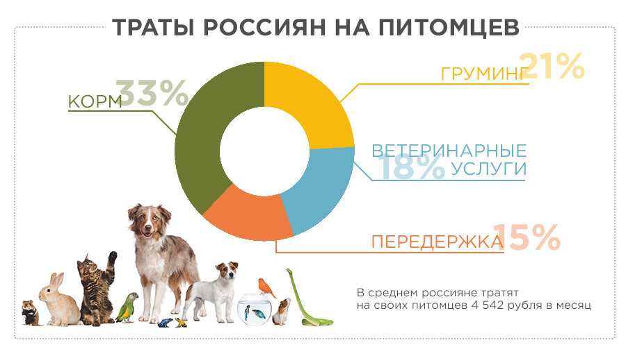 Что такое франшиза и как открыть готовый бизнес
