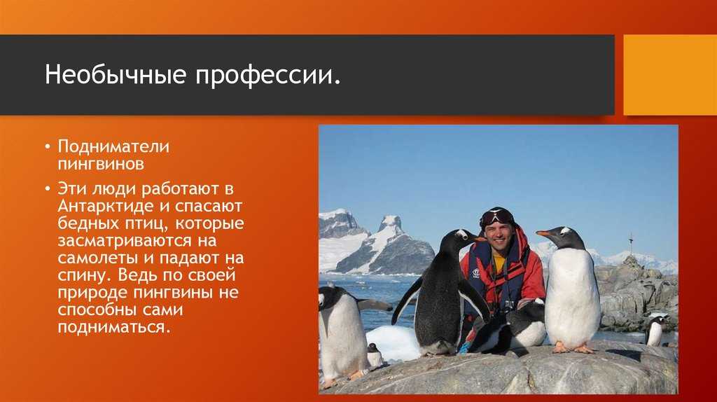 Хорошо оплачиваемые профессии для девушек