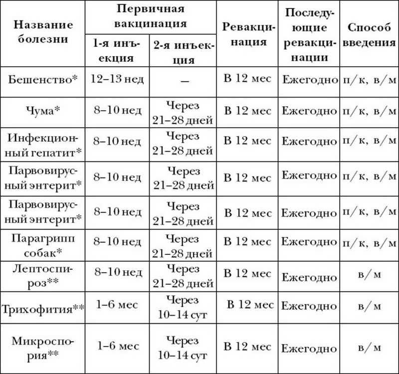 Какие прививки делать обязательно, какие — желательно