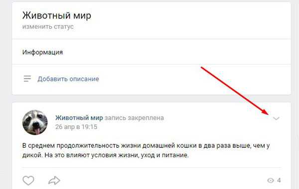 Как в вк закрепить запись на стене: пошаговая инструкция