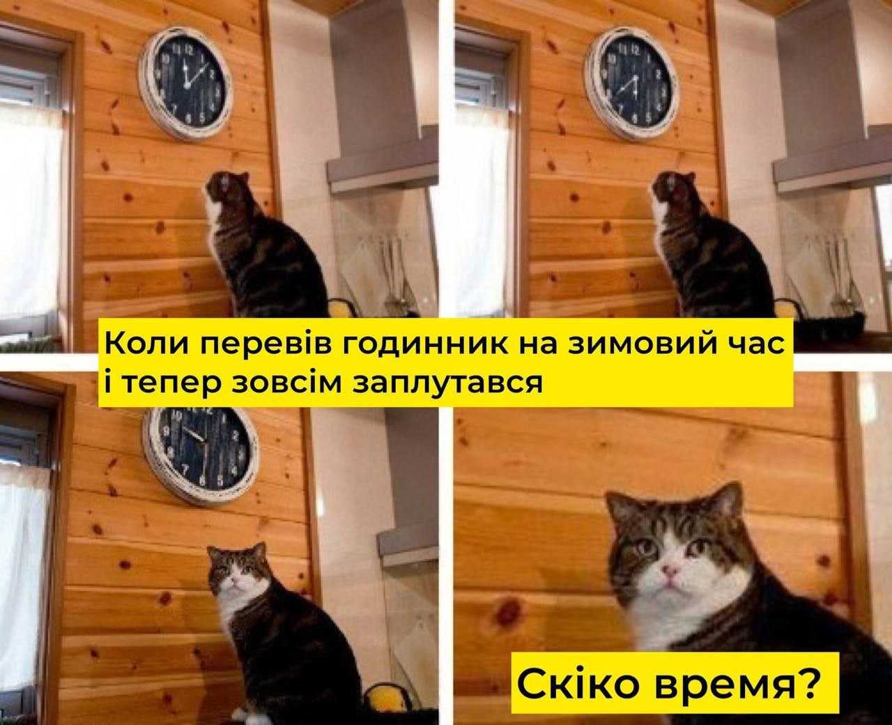 Франчайзинг в мебельном бизнесе: для тех, кто подумывает приобрести франшизу - bortexel.ru