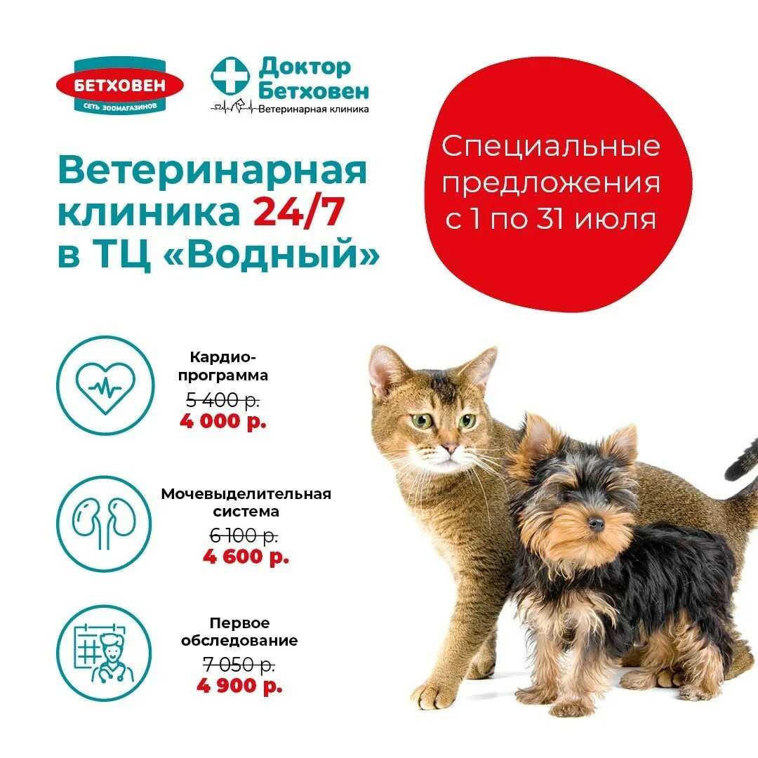 Франшиза медицинского центра кинезитерапии — доктор позвонков