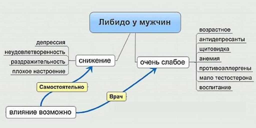 Сексуальное влечение у мужчин и женщин: какая разница? - психотерапевты, сексологи. спб: консультации, лечение