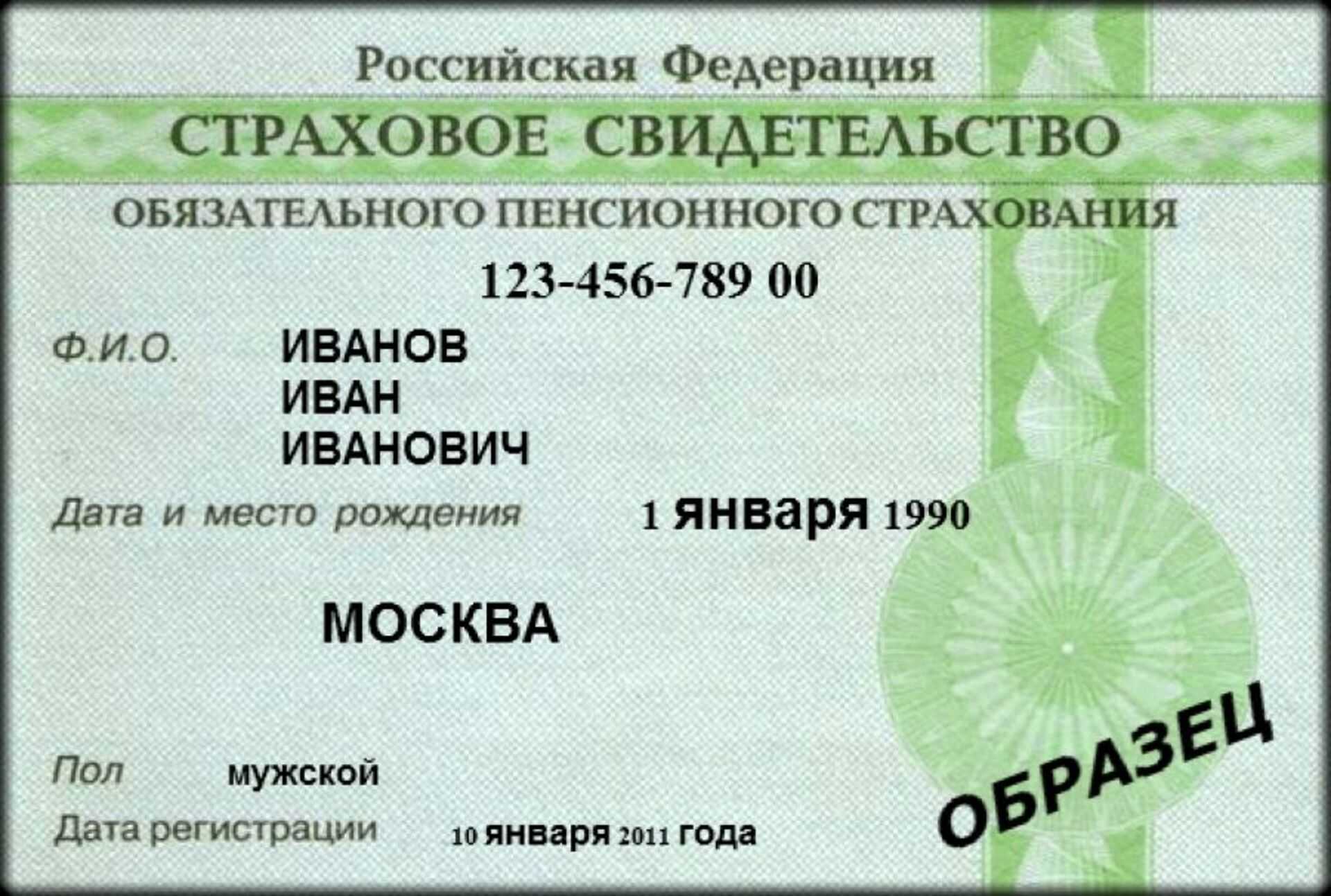 Что такое снилс и как он выглядит: расшифровка документа
