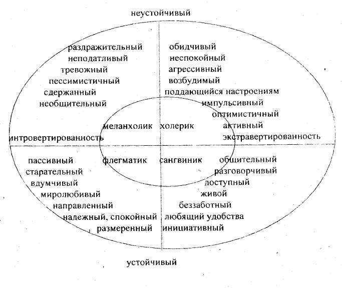 Амбиверт: кто это такой, как распознать и какие профессии ему подходят?