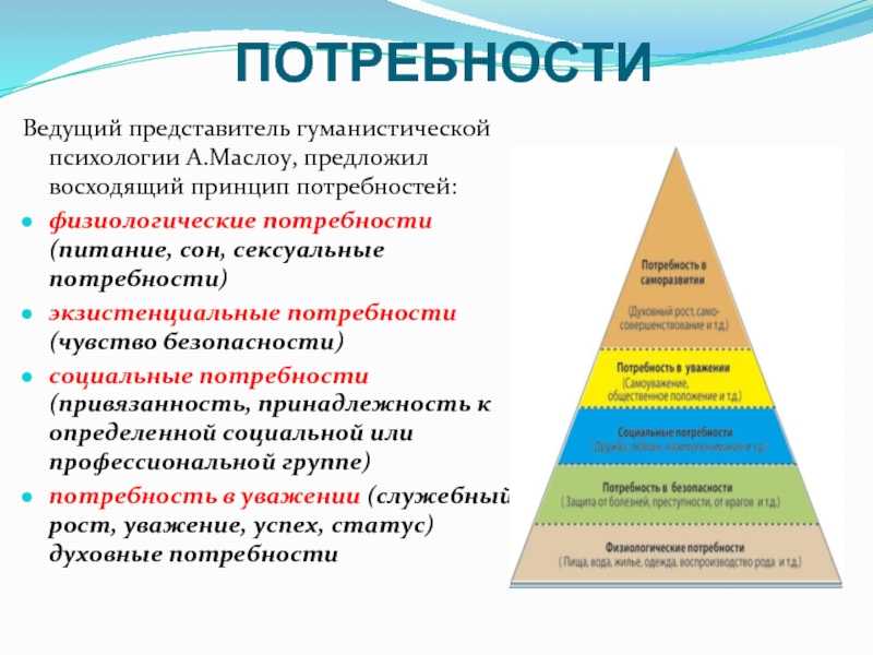 Потребность — это, удовлетворение, суть, виды потребностей, характеристика и цель.