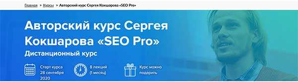 Профессия seo-специалист -  кто это чем занимается и обязанности
