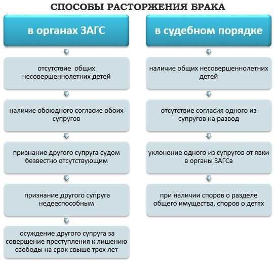 «алгоритмика» – франшиза школы программирования для детей