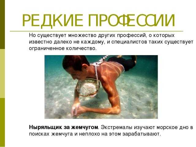 Редко, но метко: необычные профессии, на которых можно заработать